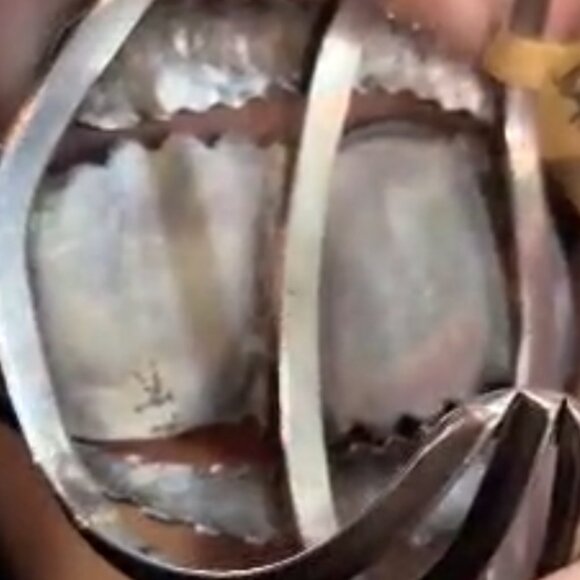 Navajo sterling silver cuff bracelet turquoise, coral, a bear claw, and feather - Picture 8 of 11